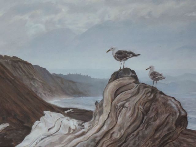 Gulls at Dungeness Spit